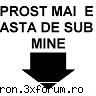 Poze - Mafya_XXL`s - VB shi iarashi VB